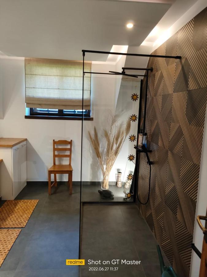 Apartament Forest Mysłakowice Buitenkant foto