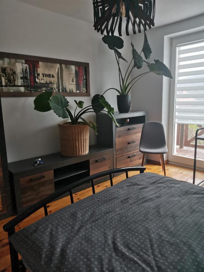 Apartament Forest Mysłakowice Buitenkant foto
