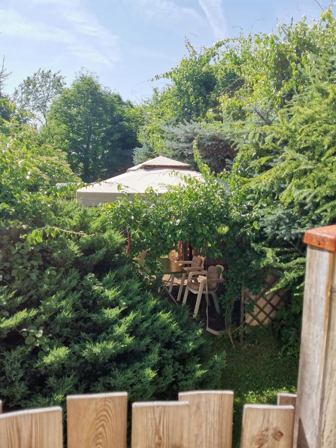 Apartament Forest Mysłakowice Buitenkant foto
