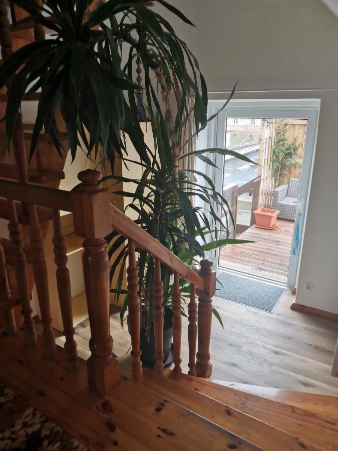 Apartament Forest Mysłakowice Buitenkant foto