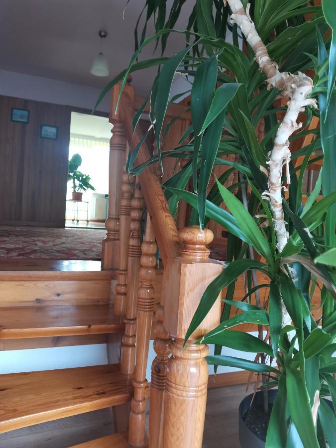 Apartament Forest Mysłakowice Buitenkant foto